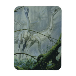 dinosaurussen, Megapnosaurus o.b.a. Syntarsus Magneet