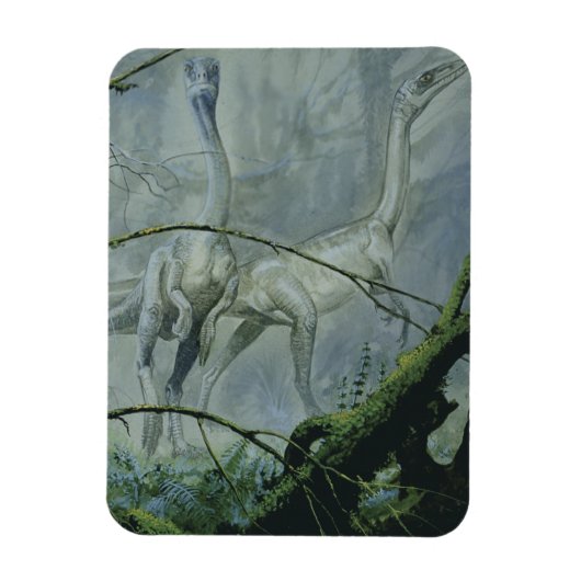  dinosaurussen, Megapnosaurus o.b.a. Syntarsus Magneet (Verticaal)