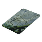  dinosaurussen, Megapnosaurus o.b.a. Syntarsus Magneet (Linkerzijde)