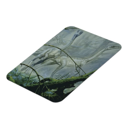 dinosaurussen, Megapnosaurus o.b.a. Syntarsus Magneet (Linkerzijde)