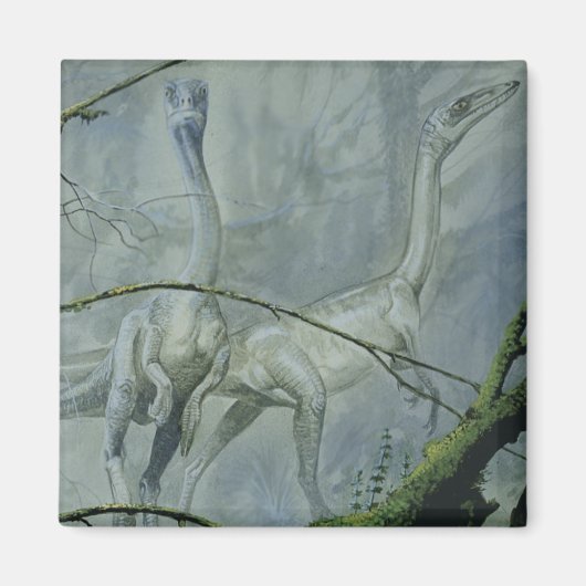  dinosaurussen, Megapnosaurus o.b.a. Syntarsus Magneet (Voorkant)