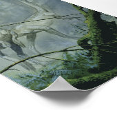  dinosaurussen, Megapnosaurus o.b.a. Syntarsus Poster (Hoek)