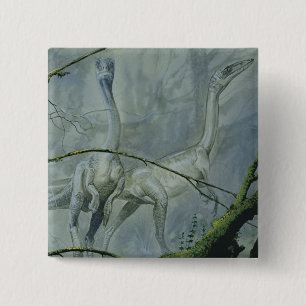 dinosaurussen, Megapnosaurus o.b.a. Syntarsus Vierkante Button 5,1 Cm