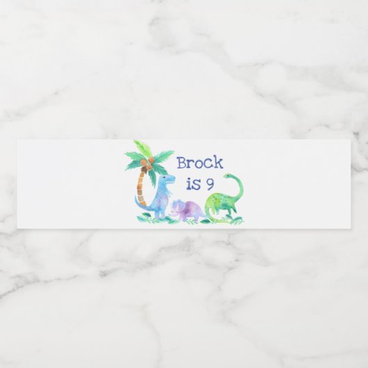 Dinosaurussen met aangepaste tekst waterfles etiket (Enkel label)