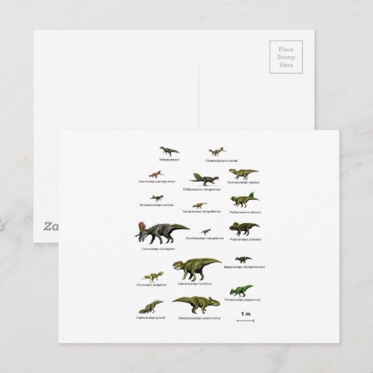 Dinosaurussen namen briefkaart (Voorkant / Achterkant)