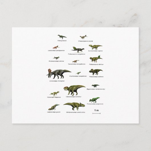 Dinosaurussen namen briefkaart (Voorkant)