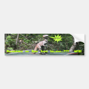 Dinosaurussen op San Juan-eiland Bumpersticker