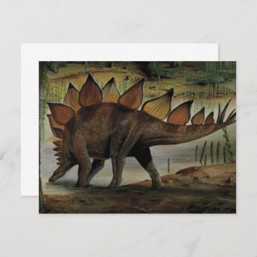  dinosaurussen, Stegosaurus, staart met pieken (Voorkant / Achterkant)