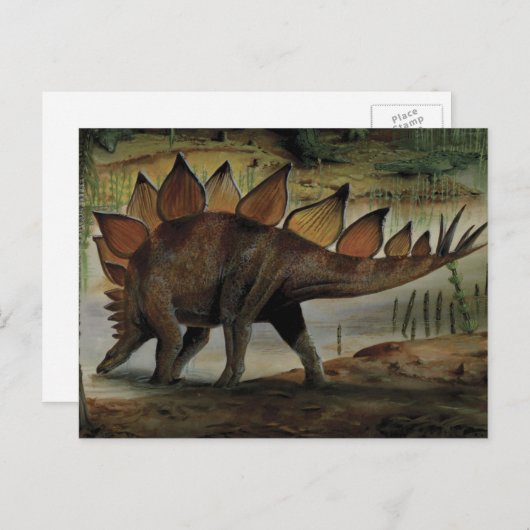 dinosaurussen, Stegosaurus, staart met pieken Briefkaart (Voorkant / Achterkant)