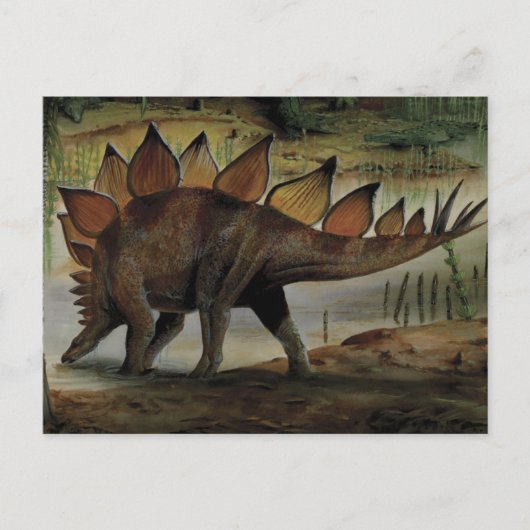  dinosaurussen, Stegosaurus, staart met pieken Briefkaart (Voorkant)