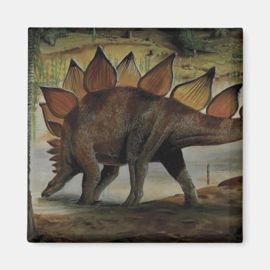 dinosaurussen, Stegosaurus, staart met pieken Magneet (Voorkant)