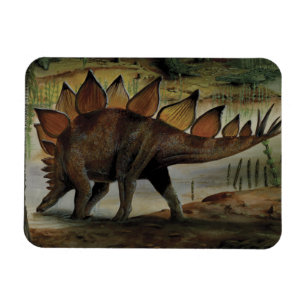  dinosaurussen, Stegosaurus, staart met pieken Magneet