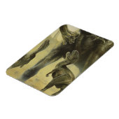  dinosaurussen, Torvosaurus en Brachiosaurus Magneet (Linkerzijde)