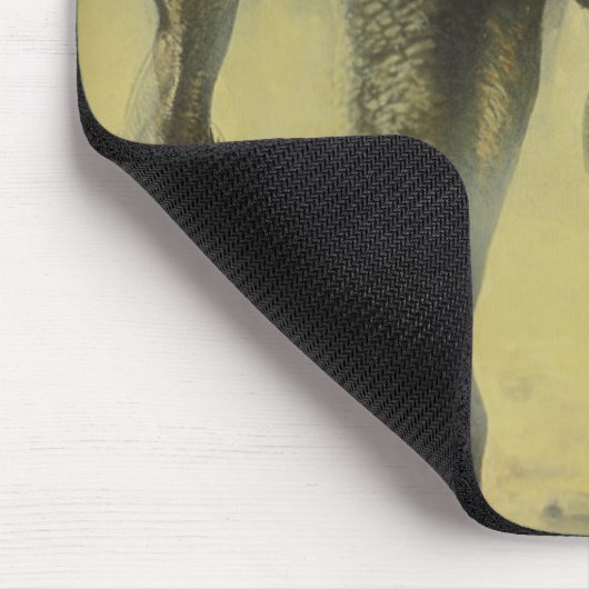  dinosaurussen, Torvosaurus en Brachiosaurus Muismat (Hoek)