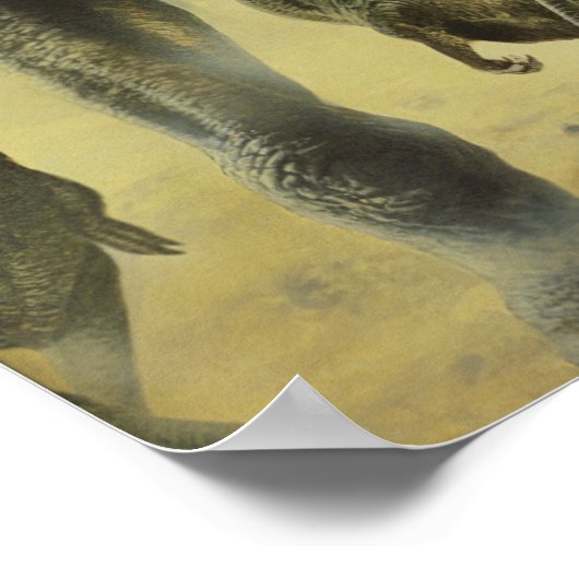  dinosaurussen, Torvosaurus en Brachiosaurus Poster (Hoek)