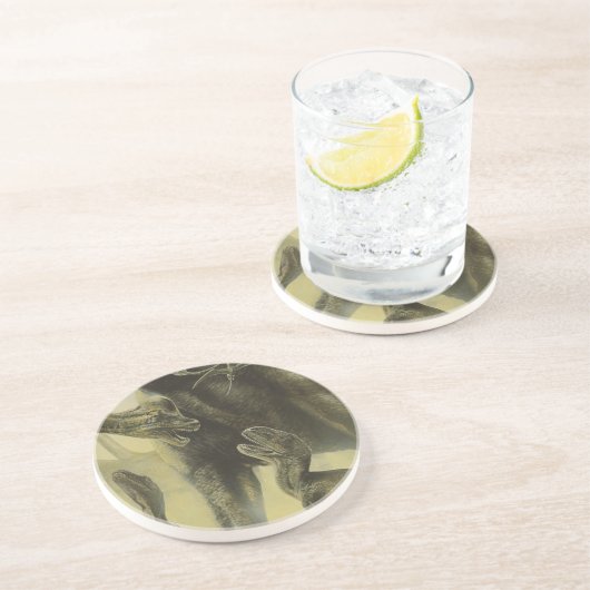  dinosaurussen, Torvosaurus en Brachiosaurus Zandsteen Onderzetter (Zijkant)