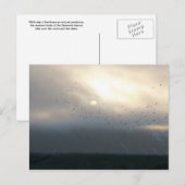 diomede 11 briefkaart (Voorkant / Achterkant)