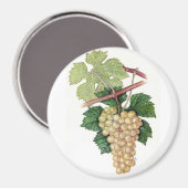 Dionysus- & Rhea-Collectie Magneet (Voorkant / Achterkant)