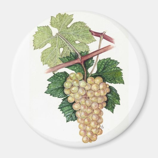 Dionysus- & Rhea-Collectie Magneet (Voorkant)