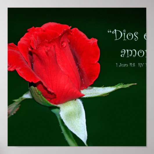 Dios es amor (Kartel de 1 Juan 4:8) Poster (Voorkant)