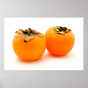 Diospyros kaki poster