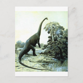 diplodocus-1 briefkaart