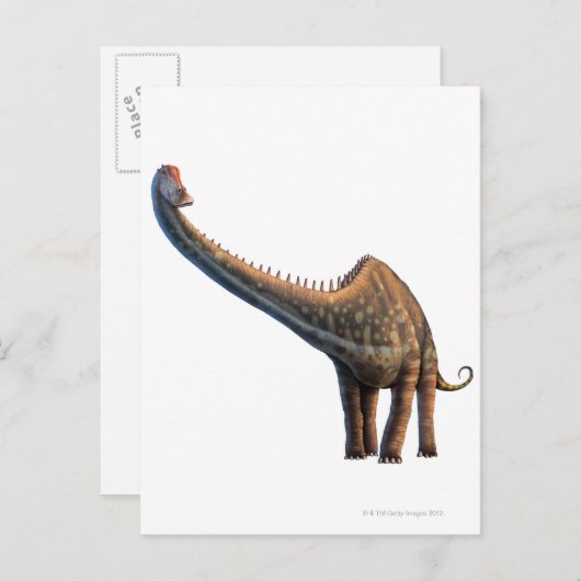 Diplodocus Briefkaart (Voorkant / Achterkant)