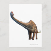 Diplodocus Briefkaart (Voorkant)