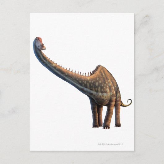Diplodocus Briefkaart (Voorkant)