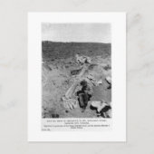 Diplodocus dinosaur briefkaart (Voorkant)