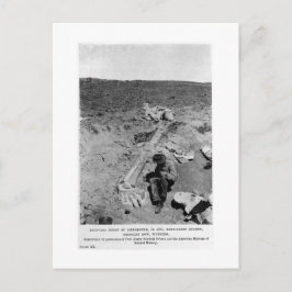 Diplodocus dinosaur briefkaart