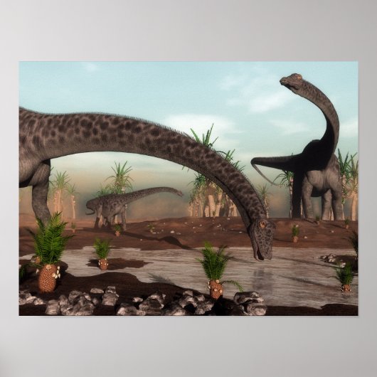 Diplodocus dinosauriërs gaan drinken poster (Voorkant)