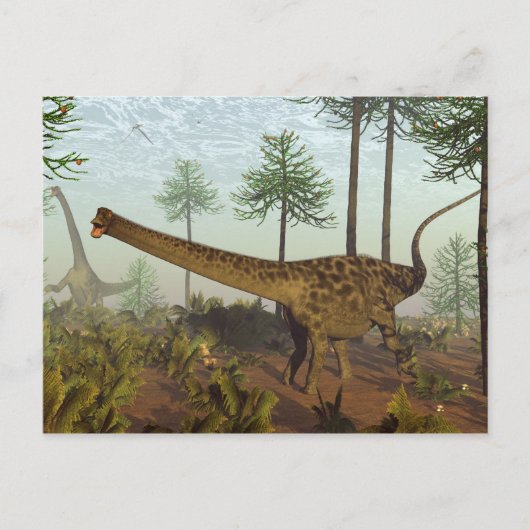 Diplodocus dinosaurussen bij araucaria bomen - 3D  Briefkaart (Voorkant)