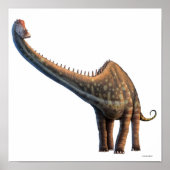 Diplodocus Poster (Voorkant)