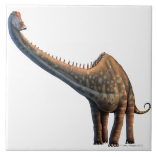 Diplodocus Tegeltje