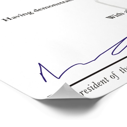 Diploma Poster (Hoek)