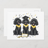 Diploma Standaard Poodle Honden Briefkaart (Voorkant / Achterkant)