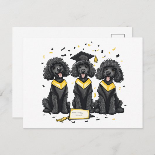 Diploma Standaard Poodle Honden Briefkaart (Voorkant / Achterkant)