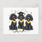 Diploma Standaard Poodle Honden Briefkaart (Voorkant)
