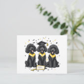 Diploma Standard Poodle Honden Briefkaart (Staand voorkant)