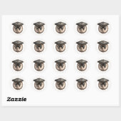 Diploma Stickers (Vel)