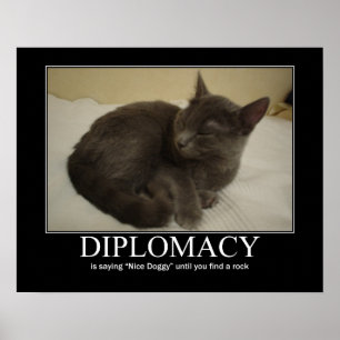 Diplomatieke kattenkunst poster