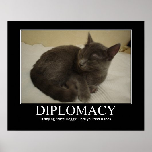 Diplomatieke kattenkunst poster (Voorkant)