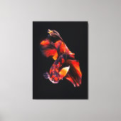diptych van een bettavis die zwemt canvas afdruk (Voorkant)