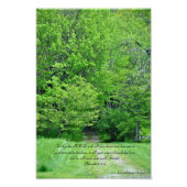 Direct je paden foto afdruk (Voorkant)