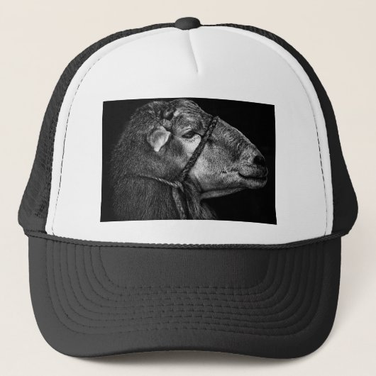 direct volgend trucker pet (Voorkant)