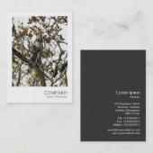 Directe foto 01 - Eekhoorn in een boom Visitekaartje (Voorkant / Achterkant)