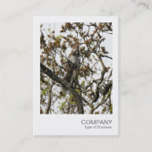 Directe foto 01 - Eekhoorn in een boom Visitekaartje (Voorkant)