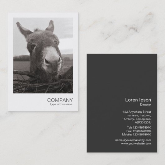 Directe foto - Friendly Donkey Visitekaartje (Voorkant / Achterkant)