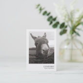 Directe foto - Friendly Donkey Visitekaartje (Staand voorkant)